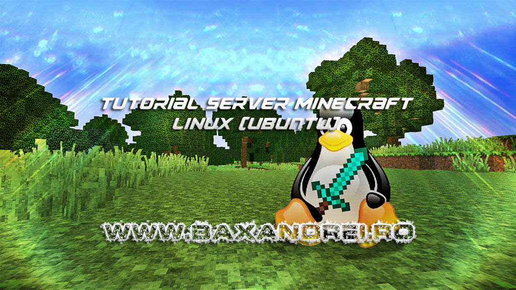 Cum se face server de Minecraft pe Linux (Ubuntu) – BaxAndrei.Ro